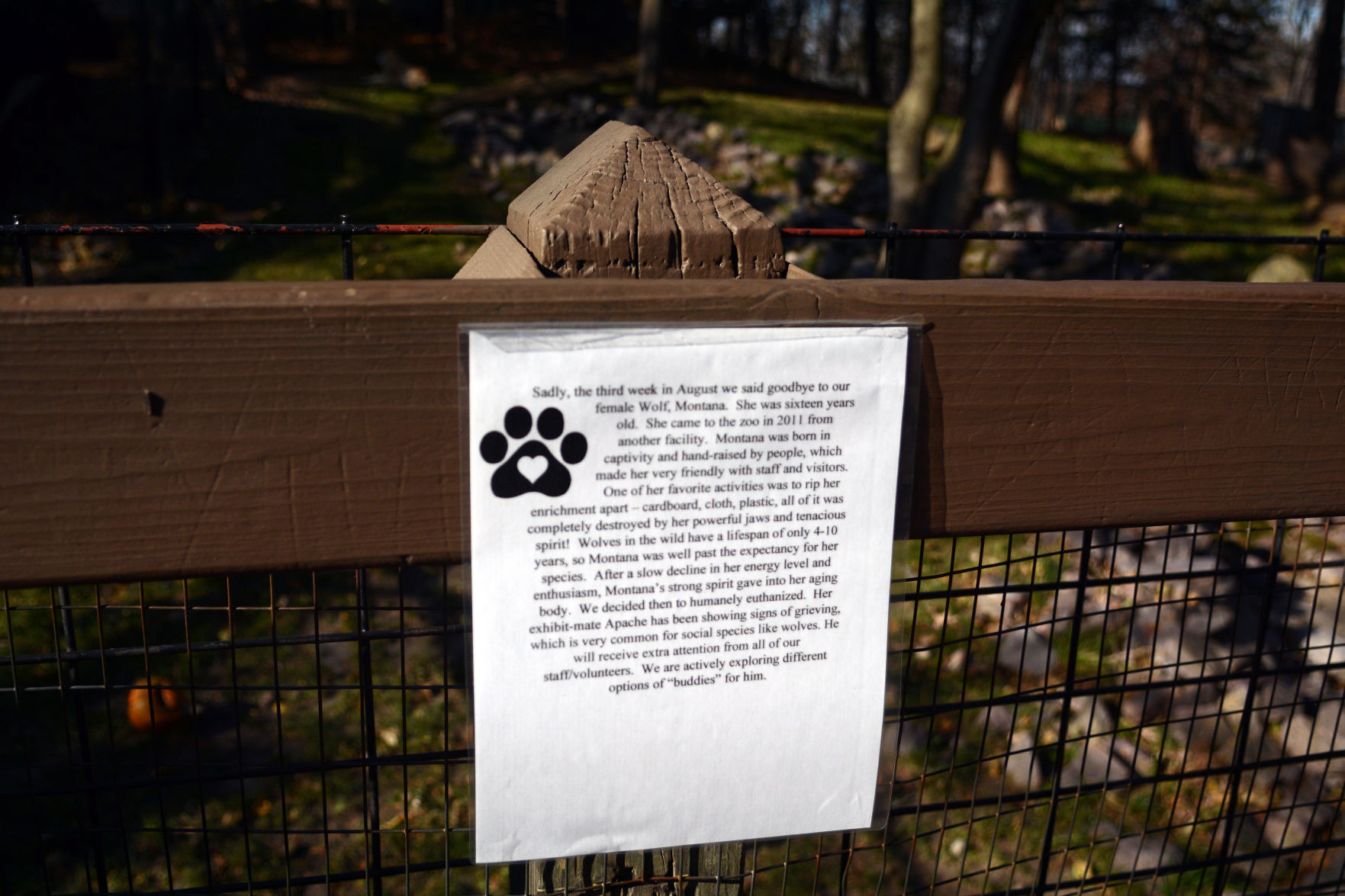 Scenes from Baraboo's Ochsner Park Zoo, Nov. 7, 2020